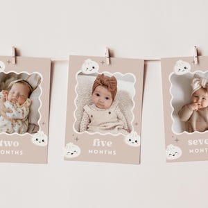 Little Dumpling 1st Birthday Milestone Banner  | Bao Dumpling First Year Monthly Photo Banner | Dim Sum Party Decor | Instant Download