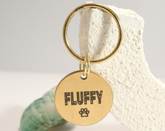 May include: A gold-colored, round pet tag with the word "FLUFFY" in bold, block letters and a paw print symbol. The tag is attached to a gold-colored ring. The background includes a white, textured object and a green, shell-like object.