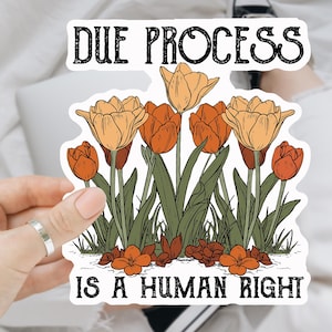 Due Process is a Human Right Anti Trump sticker/Car Magnet, Floral anti Trump sticker, Anti MAGA, LGBT, Women right Sticker
