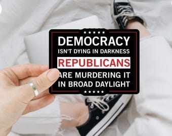 Democracy Anti MAGA Sticker or Car Magnet, Resist Sticker, Fight the Oligarchy Sticker, Protect Democracy Stickers, Defend Democracy Sticker