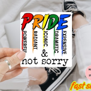 Pride Expensive Dramatic LGBT Sticker or Car Magnet, quality Human Rights LGBTQ Bumper Pride Month Flag Waterproof Vinyl Sticker, LGBTQ