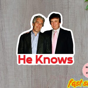 HAnti Trump Sticker/Car Magnet, Trump & Epstein Best Friends Forever Magnet, Sticker, or Vinyl Decal Satirical Anti-Trump Political Sticker