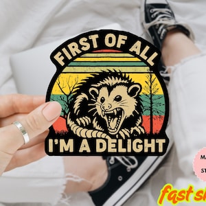 First of all I’m a delight possum sticker/Car Magnet | Funny sticker, water bottle sticker, laptop sticker, car sticker, Water proof Sticker