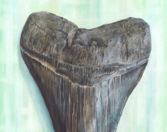 Bluetooth, Shark Tooth Beach Vacation House Art Fossil Illustration from original painting