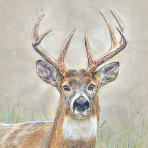 The Buck Stops Here, Signed Art Print of Original whitetail Deer Cabin Wildlife Nature Art