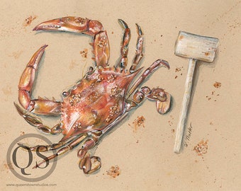 Hammer Time, Art Print created from original Maryland Red Cooked Crab Coastal Art, Crab Feast