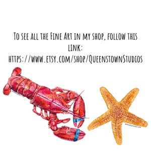 May include: A watercolor painting of a red lobster and a yellow starfish on a white background. The text "TO SEE ALL THE FINE ART IN MY SHOP, FOLLOW THIS LINK: HTTPS://WWW.ETSY.COM/SHOP/QUEENSTOWNSTUDIOS" is written in black at the top of the image.