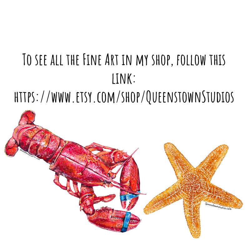 May include: A watercolor painting of a red lobster and a yellow starfish on a white background. The text "TO SEE ALL THE FINE ART IN MY SHOP, FOLLOW THIS LINK: HTTPS://WWW.ETSY.COM/SHOP/QUEENSTOWNSTUDIOS" is written in black at the top of the image.