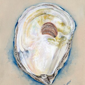 May include: A watercolor painting of an oyster shell with a light brown interior and a white exterior. The shell is painted on a light brown background with a blue watercolor wash around the shell. The artist's signature, "K. Nutter", is in the bottom right corner of the painting. Copyright Kathleen Nutter is written in the bottom left corner.