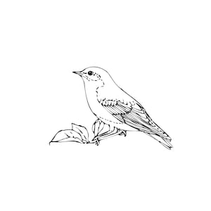 Bluebird UNMOUNTED Rubber Stamp #9