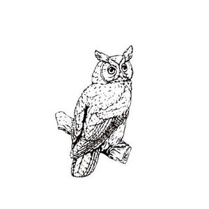 Timbre en caoutchouc non monté du Grand-duc d’Amérique - Timbre du journal des ornithologues amateurs - Observation des oiseaux - Halloween - Nature - Timbres sur le foin d’odeur #9