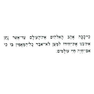 JOHN 3-16 in Hebrew UNMOUNTED Rubber Stamp, Christian Bible Verse #11
