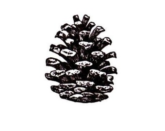 Pine Cone Small UNMOUNTED rubber stamp, Christmas, winter, gift tag stamp, forest, nature, pinecone #19