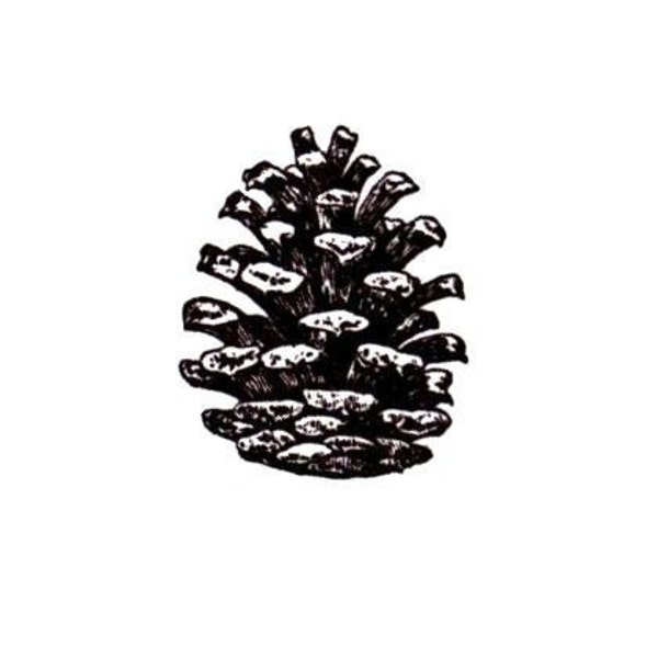 Pine Cone Kleine UNMOUNTED rubberen stempel, Kerstmis, winter, gift tag stempel, bos, natuur, dennenappel # 19