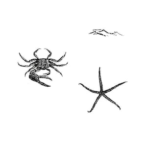 May include: Black and white line drawing of a crab, a starfish, and a wave.