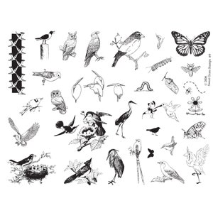 May include: A black and white illustration sheet of various birds, butterflies, insects, and other nature-themed images. The sheet includes a fence, a caterpillar, a cocoon, a bee, a flower, and a hummingbird. The text "Sweet Grass Stamps 99" is in the bottom right corner.