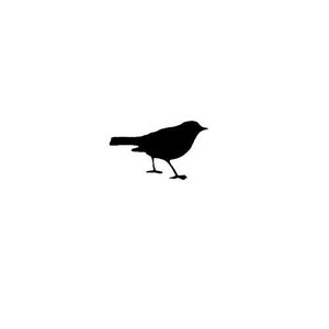 May include: Black silhouette of a small bird with its wings folded, standing on a white background.