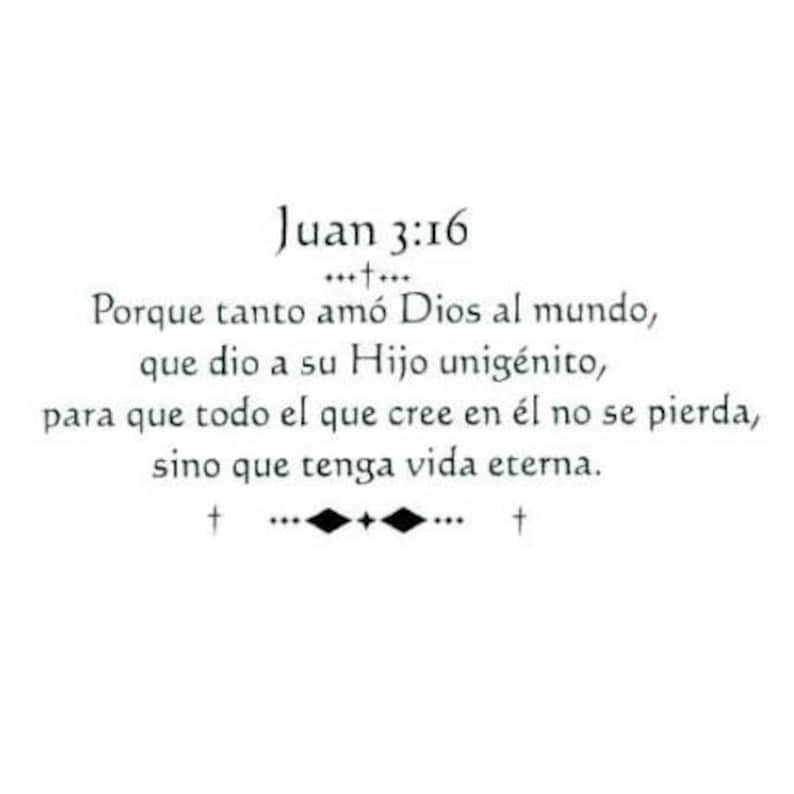 john 3 16 in