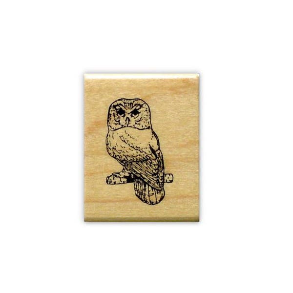 Saw Whet Owl Mounted Rubber Stamp - Night Bird #9