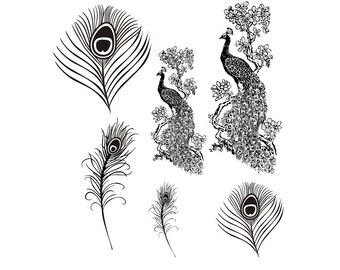 full set of Peacock UNMOUNTED Rubber Stamps