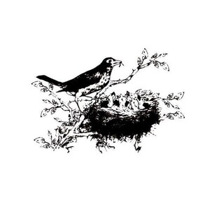 Robin and Babies in Nest Unmounted Rubber Stamp - Mother Bird, Sign of Spring - Sweet Grass Stamps #9