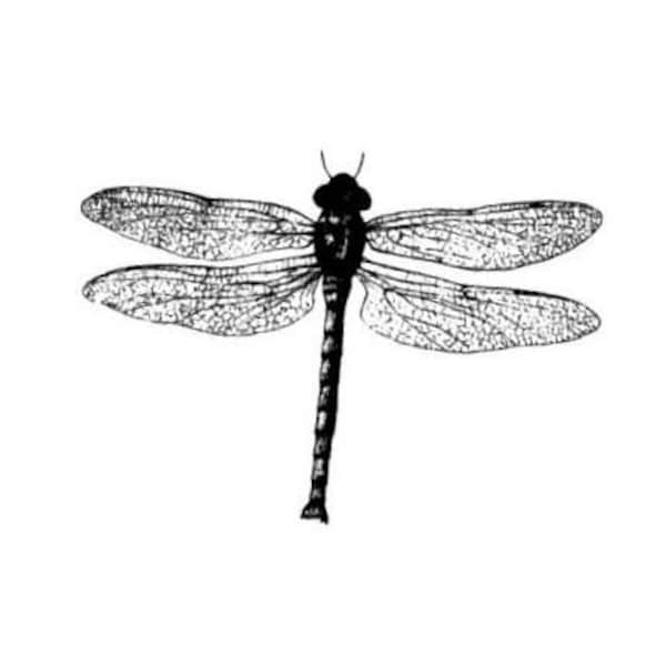 Realistic Dragonfly UNMOUNTED Rubber Stamp #12