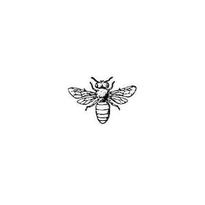 Honey Bee UNMOUNTED bug rubber stamp, summer, bug, bullet journal, planner, mail art, Sweet Grass Stamps #9