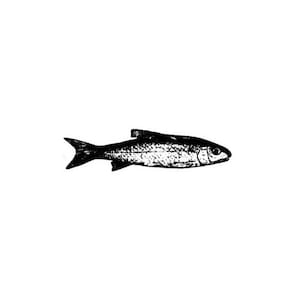 realistic FISH unmounted rubber stamp, men, masculine, Father&#39;s Day, bullet or art journaling, Sweet Grass Stamps No.14