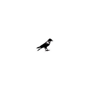 May include: A black silhouette of a crow with its wings spread out.