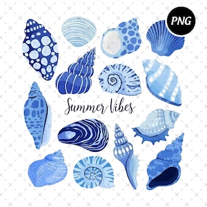 Coquette Seashell Png, Beach Png, Summer Vibes Png, Summer Coquette Png, Girls Trip Png, Coastal Png, Retro Summer Png