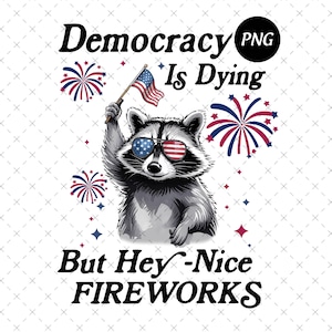 Democracy Is Dying Fourth of July Protest Png, But Hey Nice Fireworks Png, Political Racoon Png, Funny USA Graphic Digital Download