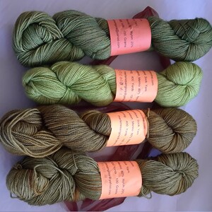 Hand Dyed Yarn | Fingering weight yarn | Yarn | Superwash | Speckled yarn | fingering yarn | Sock Yarn | multi colored | Meadow