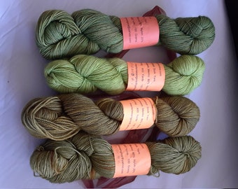 Misty Swamp Hand dyed SW Merino Nylon Yarn Fingering weight Sock weight yarn