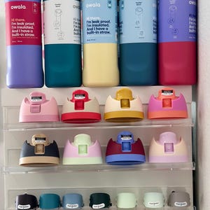 Made to Order, Custom Built 16oz or 24oz Owala Freesip Water Bottles