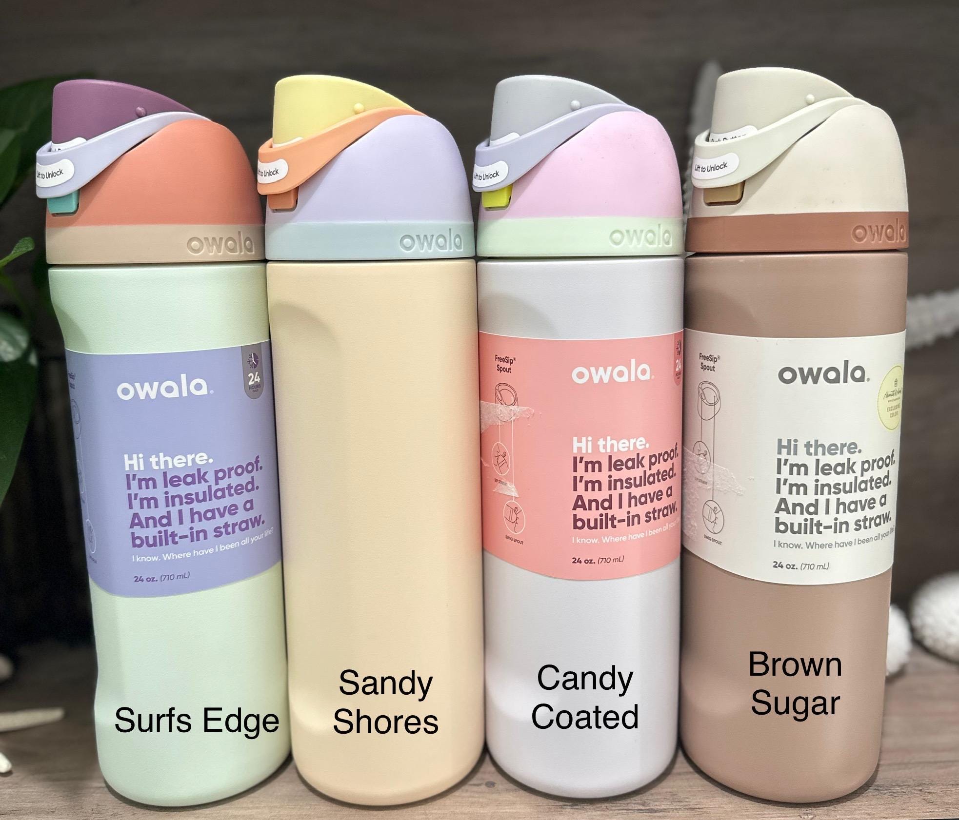 24オンス Owala Freesip ウォーターボトル カスタム刻印入り - Etsy 日本