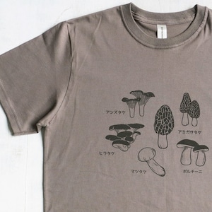 May include: A brown t-shirt with a black mushroom graphic and Japanese text. The text reads "アンズタケ", "ヒラタケ", "マツタケ", "アミガサタケ", "ポルチーニ".