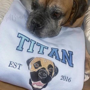Sudadera bordada personalizada para mascotas, camisa bordada personalizada para mascotas, sudadera con capucha para mascotas, sudadera personalizada con cara y nombre de mascota, regalo personalizado