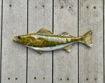 Pared de pescado de cerámica colgando, lucioperca