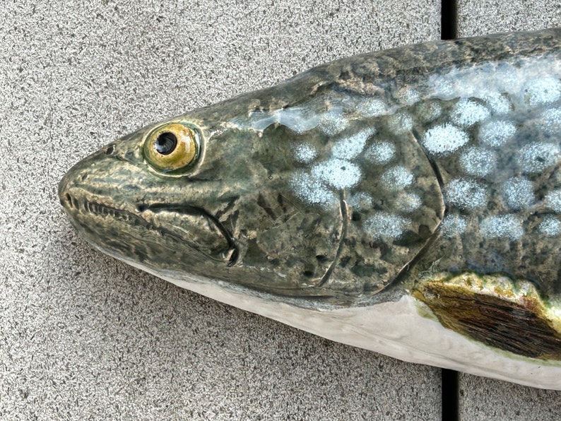 Ceramic fish, lake trout image 3