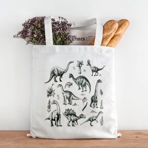 Dinosaurs Tote Bag, Dinosaur Illustration Tote Bag, Illustration Tote Bag, 100% Cotton Eco Friendly Tote Bag