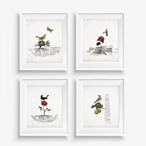 May include: Four framed art prints featuring vintage-style illustrations of birds, nests, and flowers. Each print has a white frame and a neutral background with musical notes. The artwork includes a butterfly, hummingbird, and rose.