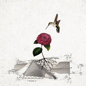 May include: A digital art print featuring a vibrant red rose with green leaves and a hummingbird. The rose's roots are intertwined with geometric diagrams and text, set against a textured, off-white background.