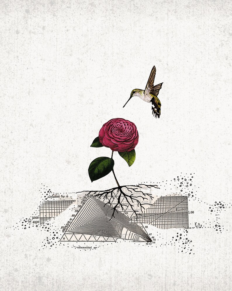 May include: A digital art print featuring a vibrant red rose with green leaves and a hummingbird. The rose's roots are intertwined with geometric diagrams and text, set against a textured, off-white background.