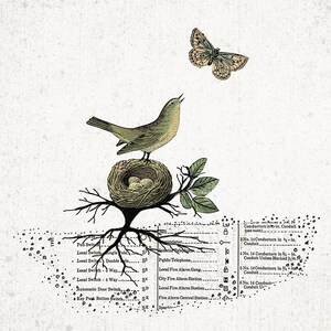 May include: Vintage-style illustration featuring a bird perched on a nest with eggs, a butterfly, and botanical elements. The artwork includes technical diagrams and text, creating a unique, aged aesthetic. The color palette consists of muted greens, browns, and creams.