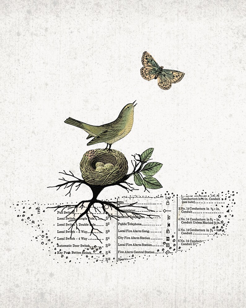 May include: Vintage-style illustration featuring a bird perched on a nest with eggs, a butterfly, and botanical elements. The artwork includes technical diagrams and text, creating a unique, aged aesthetic. The color palette consists of muted greens, browns, and creams.
