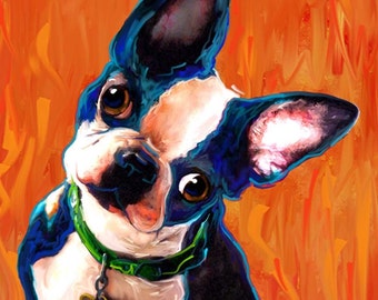 Boston Terrier Dog Art Print, Nikki the blue dog