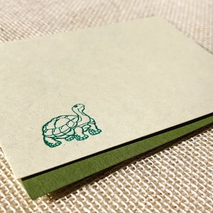 May include: A blank card with a green border and a green line drawing of a turtle on the front.