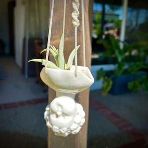 May include: A white ceramic hanging planter with a sculpted owl design. The planter holds a green air plant and is suspended by cream-colored macrame cords. The owl's face is detailed with textured feathers, creating a unique decorative piece.