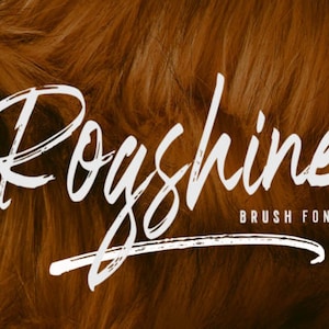 Rogshine Font, Wedding Script Font, Modern Font, Display Font, Cricut Font Script, Font Bundle For Logo, Wedding Invitations Font