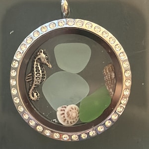 May include: A silver locket with a clear glass insert. Inside the locket are a seahorse charm, sea glass, and seashells.